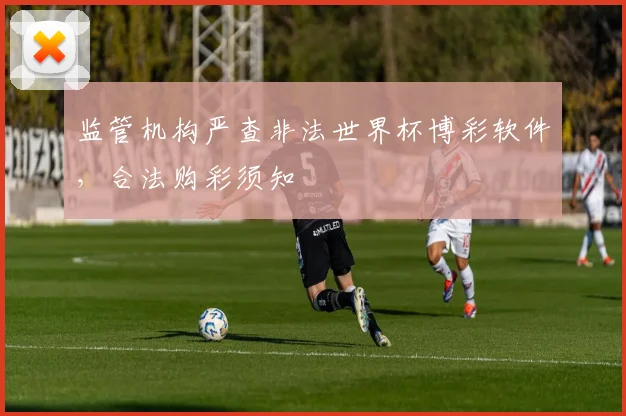 监管机构严查非法世界杯博彩软件，合法购彩须知
