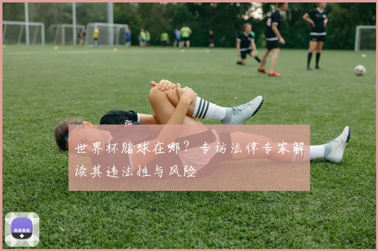 世界杯赌球在哪？专访法律专家解读其违法性与风险